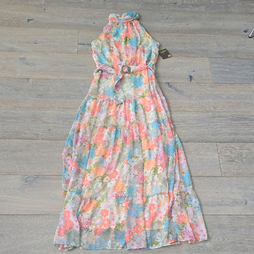 NWT Taylor maxi dress Size 6